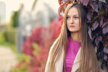 young beautiful woman in a pink knitted sweater looks to the side, against the background of wild grapes. Autumn portrait.の写真素材