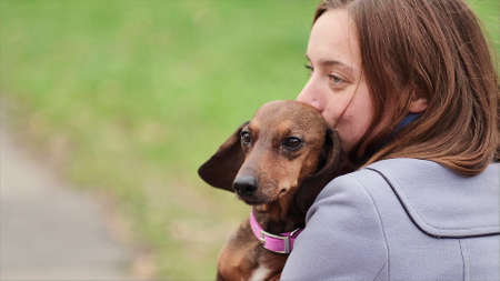 Little dog with owner spend a day at the park playing and having funの写真素材