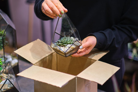 Online small business owner. delivery, mail service, people and shipment concept close up of woman...