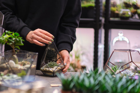 Woman holding glass geometric florarium vase with mini succulent garden and florarium vases at table. Professional florist concept. Colorful plants growing in glass geometricの写真素材