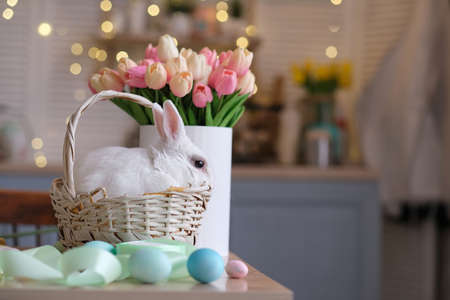 white bunny sits in a wicker basket next to a basket with decorated eggs and a bouquet of tulips. Easter atmosphereの写真素材