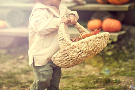 small child holds a basket with maple leaves in his hands. the concept of the fall season. Childrens fashionの写真素材