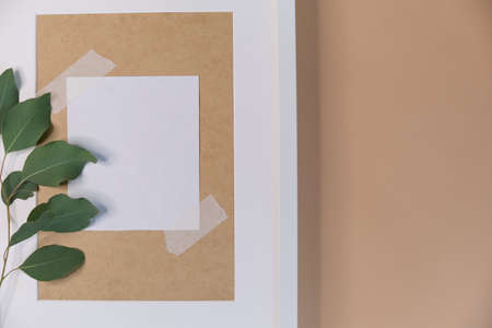 greeting card mockup. Eucalyptus populus branch on a beige background. different paper texturescongratulation. invitation. place for text. flat layの写真素材