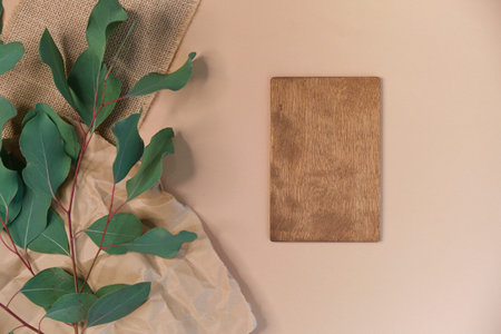 greeting card mockup. Eucalyptus populus branch on a beige background. different paper...