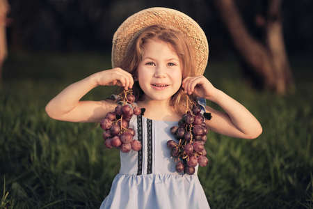 Little girl with grapes outdoors. child holding bunch of red grapes harvested by herself in the vineyardの写真素材