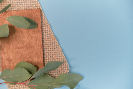 greeting card mockup. Eucalyptus populus branch on a blue background. different paper...