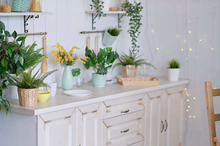 Cozy kitchen at house with modern interior, Table at Home Provence Interior.の写真素材