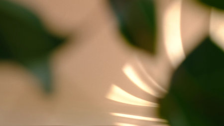 blurred background. Morning sun lighting the room, shadow background overlays. Transparent shadow of...