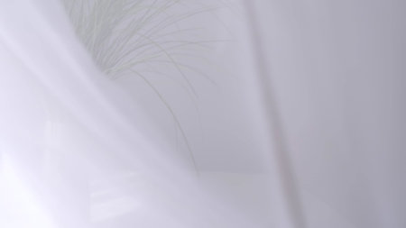 translucent white curtains develop, defocus soft background. abstract background.の写真素材