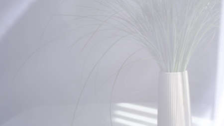 translucent white curtains develop, defocus soft background. abstract background.の写真素材