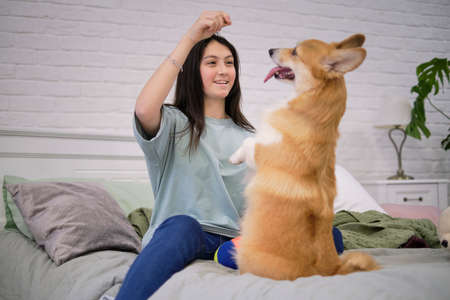 Little dog with owner playing and having fun. young teen girl sitting on the bed with her pet. soft selective focusの写真素材