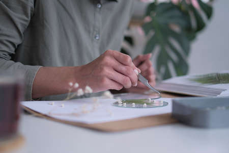 woman fixes glass plates. A picture of dried flowers. Master class on creating frame with Herbarium in tiffany technique in stained glass.の写真素材
