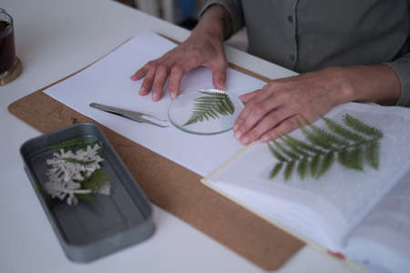 woman fixes glass plates. A picture of dried flowers. Master class on creating frame with Herbarium in tiffany technique in stained glass.の写真素材