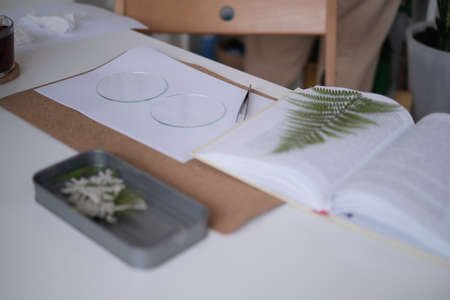 woman fixes glass plates. A picture of dried flowers. Master class on creating frame with Herbarium in tiffany technique in stained glassの写真素材