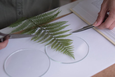 woman fixes glass plates. A picture of dried flowers. Master class on creating frame with Herbarium in tiffany technique in stained glass.の写真素材