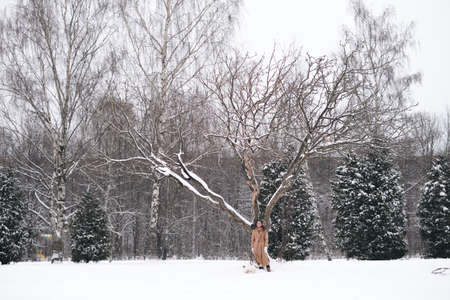portrait of a woman in a snowy forest. woman enjoying winter moments in a snowy park. frozen winter day. simple Life key to happiness.の写真素材