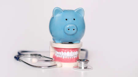 Piggy bank with White teeth model on white background. tax offset concept. Medical Expense Deductions and Tax Breaks. affordable care act. high cost health care. dental expensesの写真素材