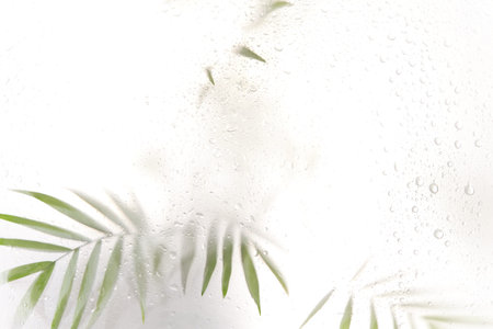 Tree branch with leaves shadow effect. blurred picture with fog effect of palm leaves silhouettes...