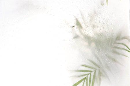 blurred silhouette palm leaves shadow effect. defocus picture with fog effect of palm leaves...