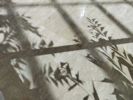 Sunlight reflected on the floor and marble walls. tree leaves shadows against beige marble floor in sunny day. Summer sunlight overlay effect. Abstract background. Natural stone, rock texture.の写真素材