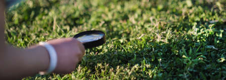 Little boy looking on grass with magnifier. Preschooler child is exploring nature with magnifying glass. Curious children in the woods.の写真素材