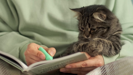 woman highlights the main thoughts in a book with a marker, the concept of self-education. affectionate kitten watching resting in the arms of the hostessの写真素材