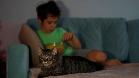 cat lies on the sofa and watches TV, the boy on the back plane watches TV and eats chips.の写真素材