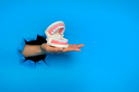 hand holding jaw teeth model on blue background with shadow. Levitation object in the air. Dental care concept. Creative minimal layoutの写真素材