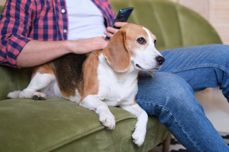 Young happy man text messaging on cell phone while sitting on the sofa with his dog.の写真素材