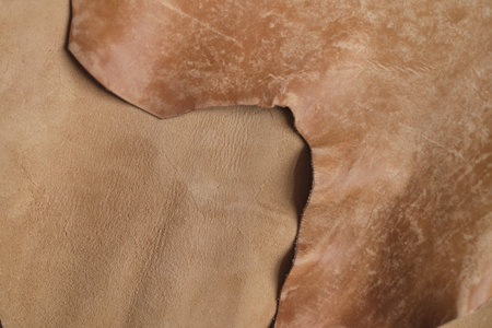 collection of high-quality beige leather swatches in various shades, showcasing their natural elegance and versatility. color trends in interior design or fashion.の写真素材