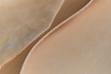 Exhibit of ethically-produced beige leather swatches, symbolizing the growing movement towards sustainable fashion and responsible leather options. Discover the essence of sustainable luxuryの写真素材