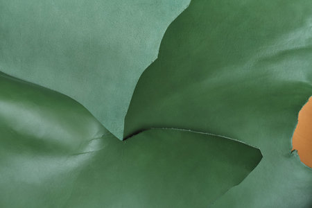 Assortment of exquisite green leather swatches in diverse tones, capturing the innate grace and...