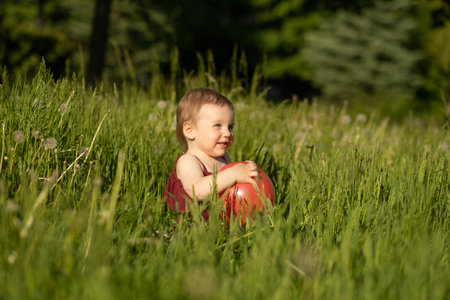 Bathed in sunlight, a tiny tot explores the delight of a red ball amid the lush green grass. Concept: eco-friendly childrens products, family camping gear, or outdoor play equipmentの写真素材