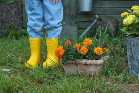 little girl legs can be seen encased in vivid yellow rubber boots, mirroring the pot of sunny...