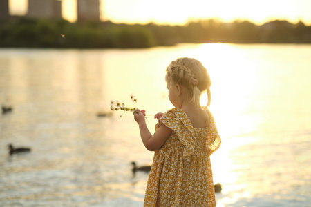 sun dips below the horizon, a toddler stands before a serene lake, daisies in hand. compelling reason for family-friendly outdoor adventures.の写真素材