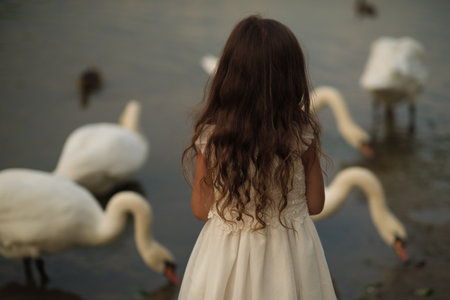 Little fingers extend to a curious swan, a scene of youthful wonder and animal trust. Great for highlighting the importance of respect for nature.の写真素材