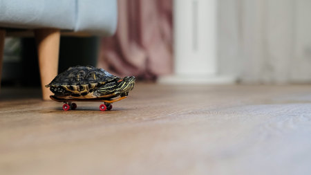 A turtle rides on a small skateboard across a wooden floor in a home environment. The playful scene captures the blend of nature and creativity, emphasizing curiosity and fun.の写真素材