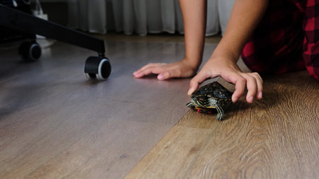 child gently pushes a small turtle on a skateboard across the wooden floor. The scene captures a creative and playful interaction between the child and their pet, emphasizing curiosity and imagination.の写真素材