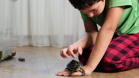 A young boy interacts with a small turtle, gently touching its shell while sitting on the floor....