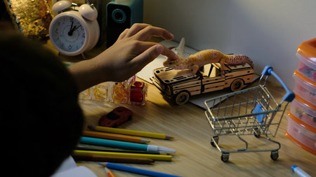 A leopard gecko sits atop a toy car as a hand gently interacts with it on a cluttered desk. This scene highlights the playful integration of exotic pets into everyday environments.の写真素材