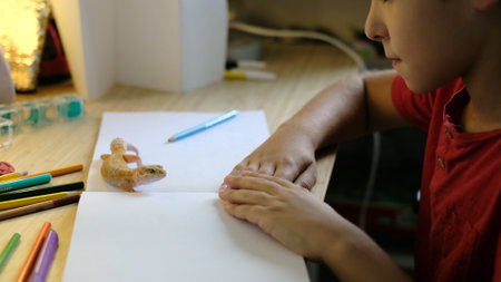 A gecko explores a desk while a child leans in with curiosity, surrounded by colorful pencils and a blank page. This photo reflects calm observation and the integration of learning with nature.の写真素材