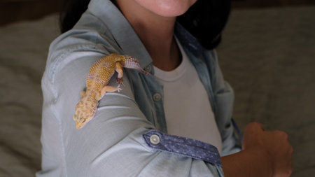 A leopard gecko perches on a woman s shoulder, calmly observing its surroundings. This image symbolizes trust and the unique companionship between humans and exotic pets.の写真素材