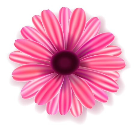 realistic purple flower isolated on whiteのイラスト素材