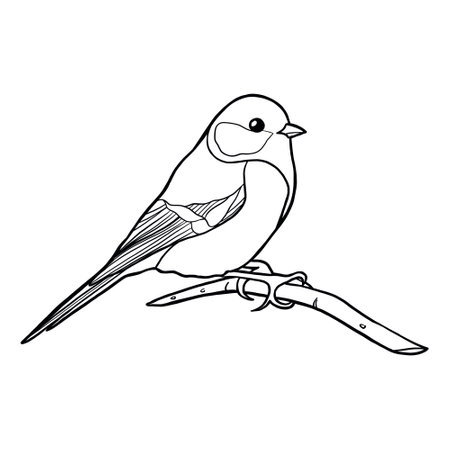 Cute little bird isolated on white background. Tit sitting on a tree branch vector illustration for coloring booksのイラスト素材