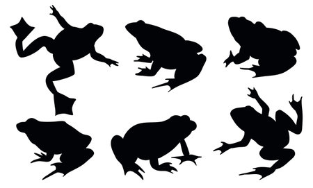 Frogs and toads set of different species in different poses. Different kinds of frogs. Black vector silhouettes on white backgroundのイラスト素材
