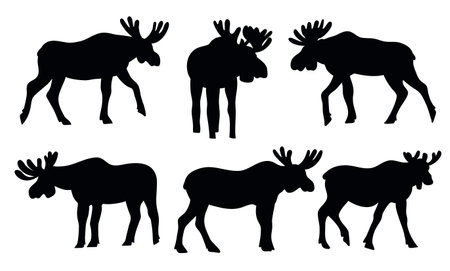 Moose action set in different poses. Black vector illustration collection isolated on white backgroundのイラスト素材