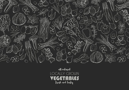 Blackboard vegetable banner with chalkboard food illustration. Food menu design template. Food top view vector illustration. Healthy eating. Hand drawn sketch salads collection.のイラスト素材