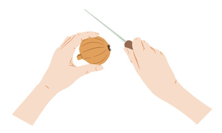 Human hands holding onion and knife for cutting vegetables, cooking food vector flat illustration top view. Gestures illustration for menu, cafe, template, bannerのイラスト素材
