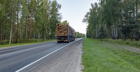 Industrial wood carrier cargo vessel truck trailer with big timber driving on asphalt road with green forest background. Back view.の写真素材