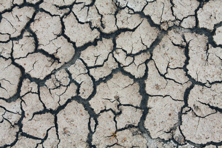 Dried ground covered with mud cracksの写真素材
